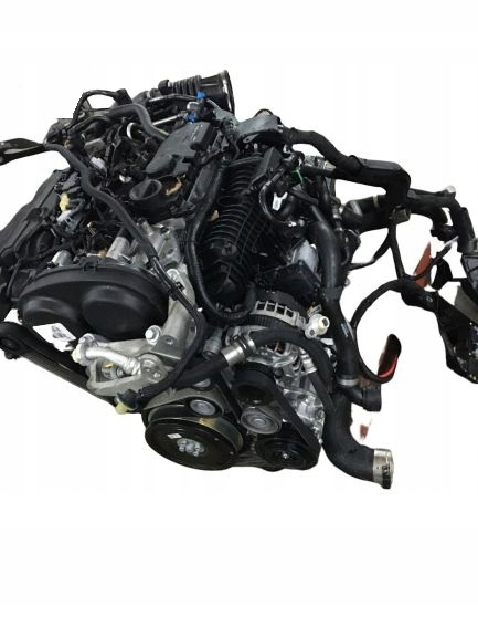 自動車 B-MAX 2022~2024 NMAX155（8BK-SG66J） PURESPORT