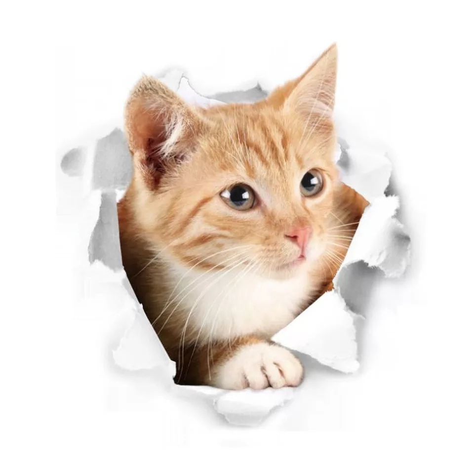 Fototapeta 3D kot kotki do kuchni łazienki rozm S 7490740588