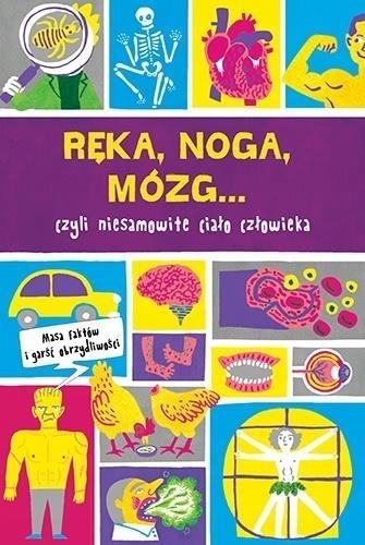 Ręka, noga, mózg... Prawie wszystko o ciele człow.