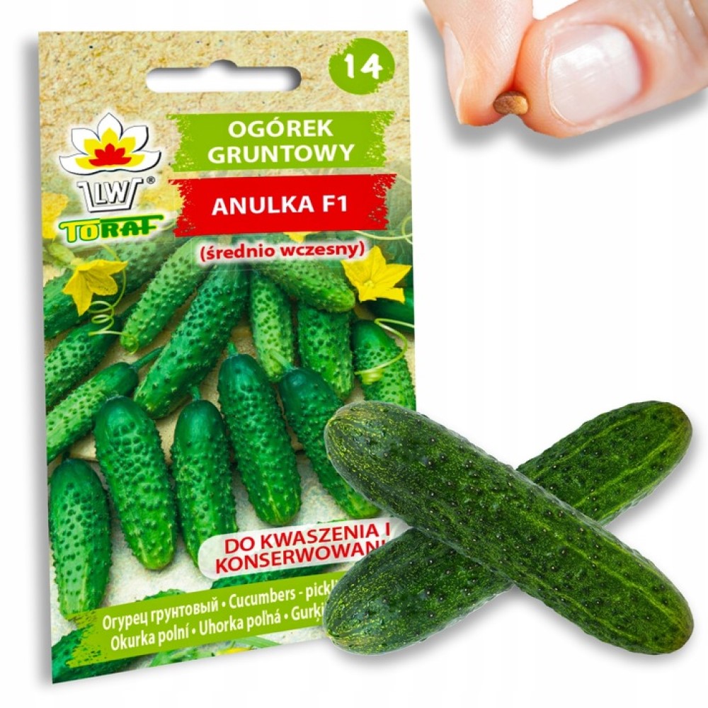 W6366 OGÓREK ANULKA F1 NASIONA OGÓRKA 5G WARZYW WCZESNA ODMIANA OGÓRKI KORN