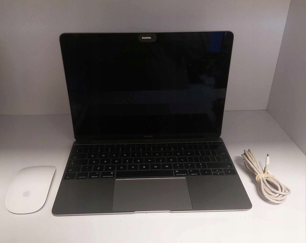 Laptop MacBook A1534 Retina 12" 8/256GB + kabel + mysz OPIS