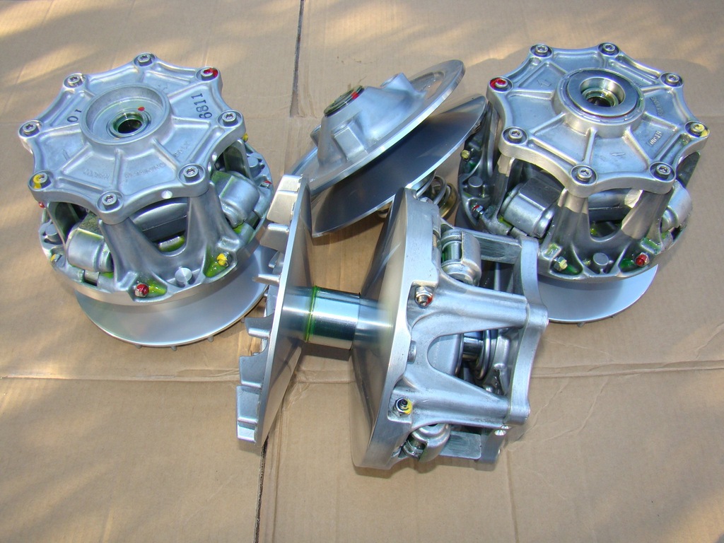 Kawasaki Brute Force