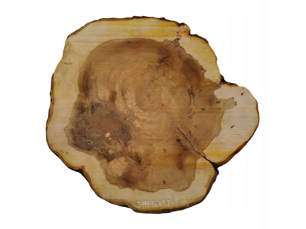 Plaster Jabłoni 56x52x8cm Stolik Kawowy Stół