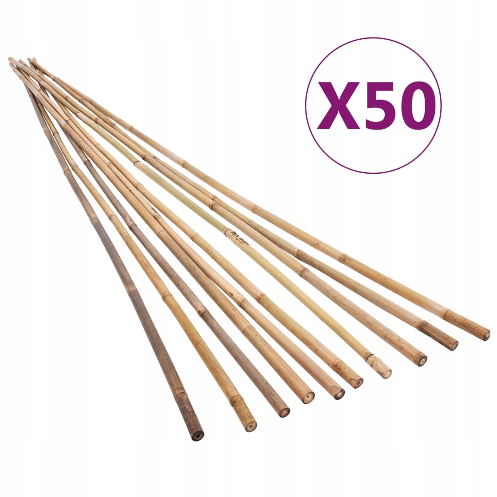 Tyczki bambusowe do ogrodu, 50 szt., 120 cm