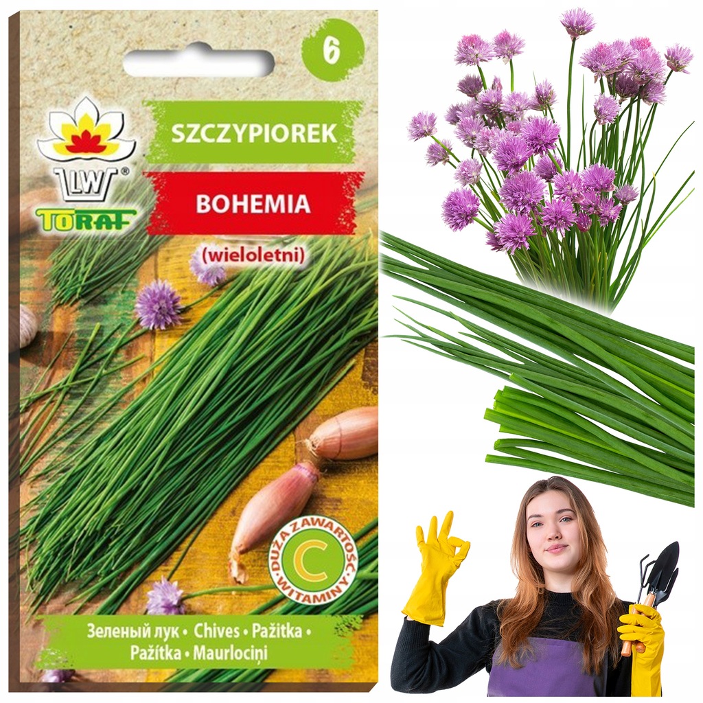 Купить Шнитт-лук многолетний Семена чеснока BOHEMIA: отзывы, фото, характеристики в интерне-магазине Aredi.ru