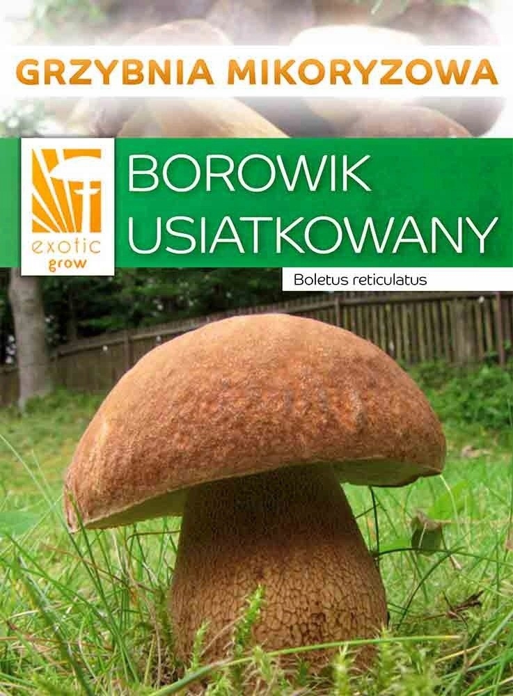 Grzybnia Borowik usiatkowany Prawdziwek usiatkowany 10g