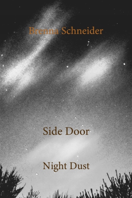 Side Door - Schneider, Brenna EBOOK