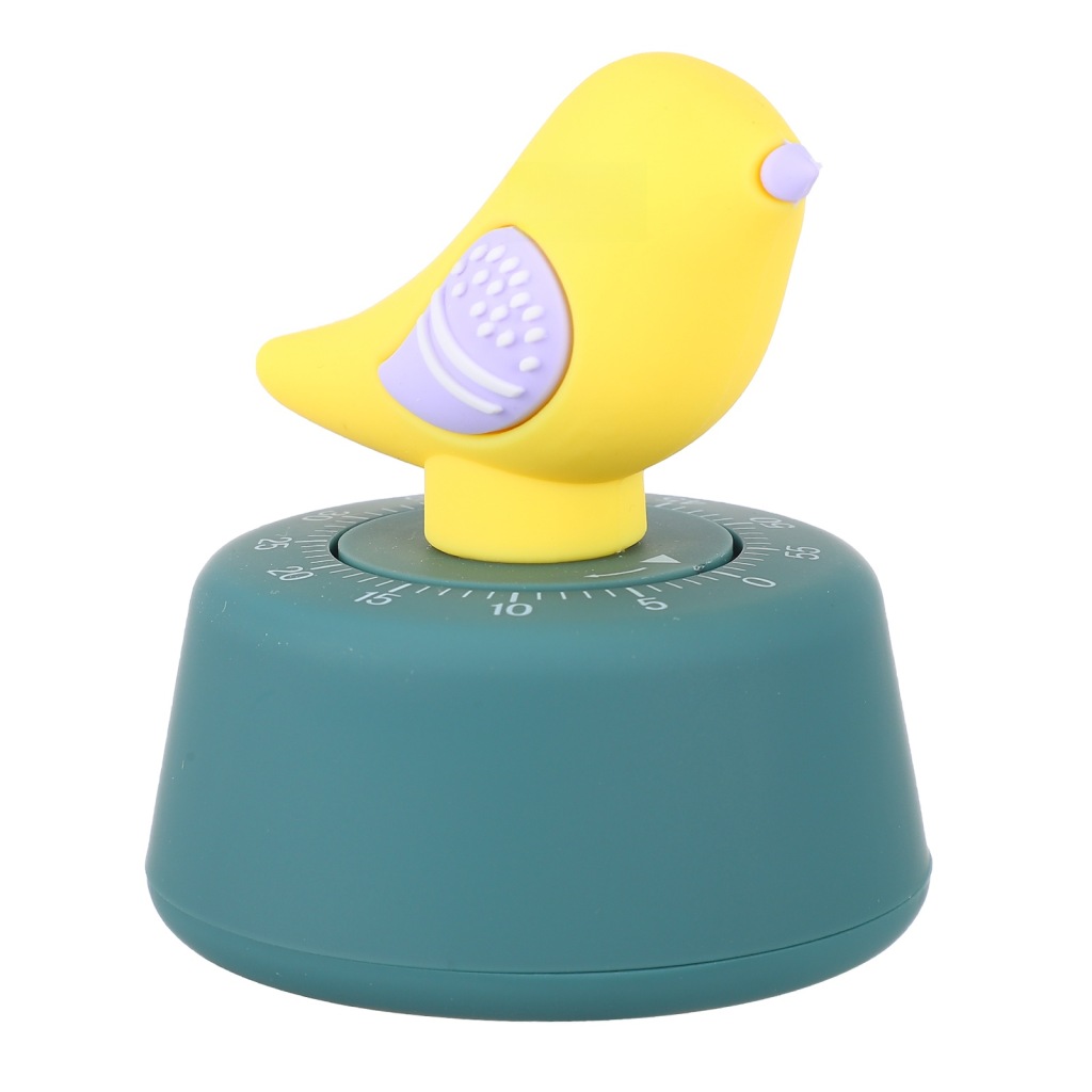 DIGITAL COUNTDOWN TIMER BIRD TIMER DIGITAL TIMERS TIMERS STOPWATCH STUDENT