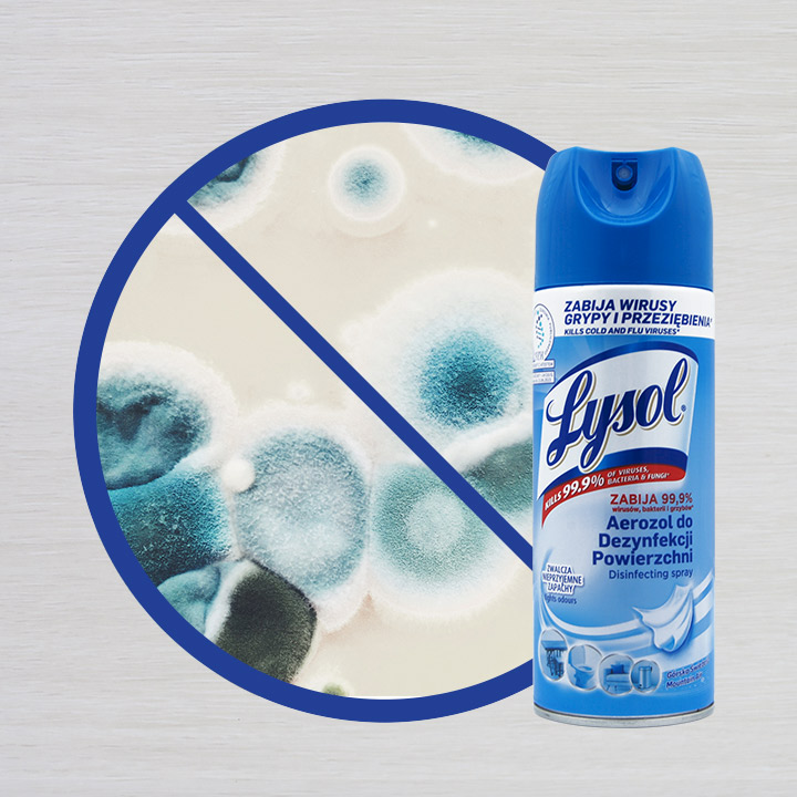 Лизол. Wd-40 производитель. Sprayway ботинки. Aerosol ferracoat. Aerosol.