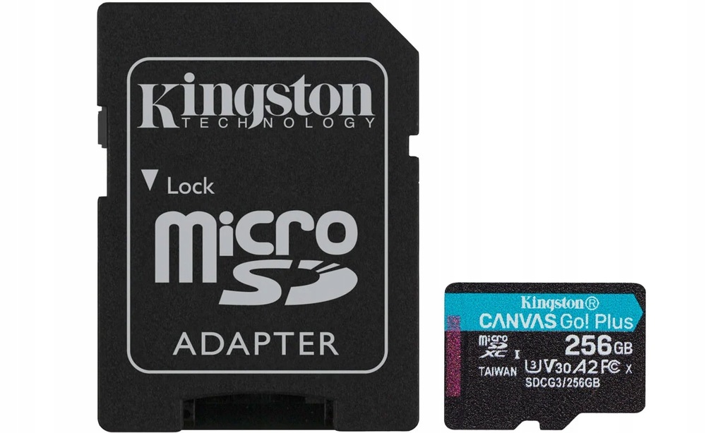 Kingston 256GB Canvas Go! Plus 170MB/90MB
