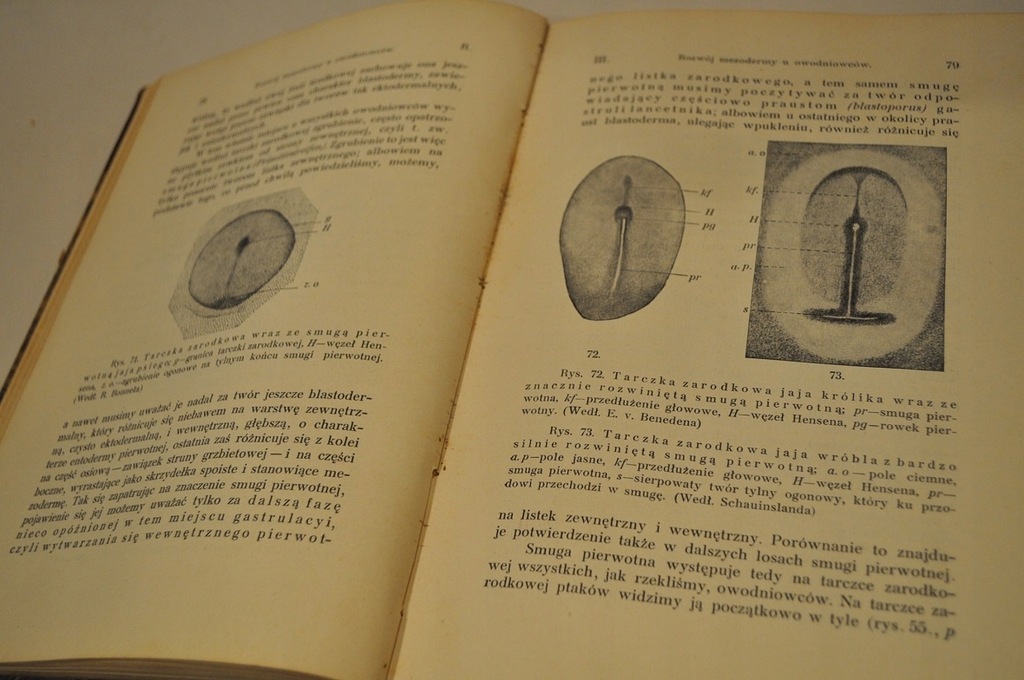 Купить 1912 ЭМБРИОЛОГИЯ 1-2 РАЗВИТИЕ ЖИВОТНОГО МИРА 986: отзывы, фото, характеристики в интерне-магазине Aredi.ru