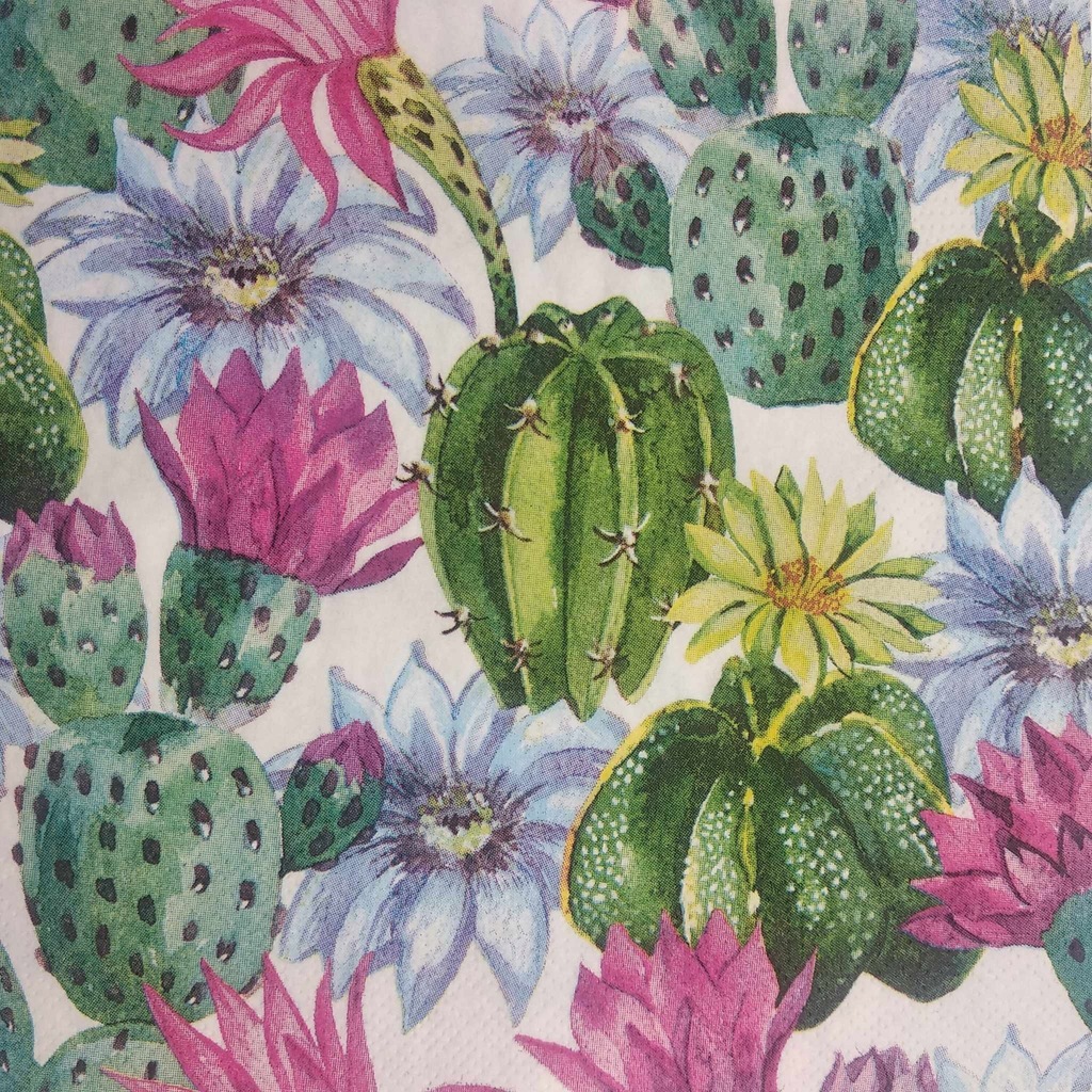 Serwetka kwitnące kaktusy sukulenty 1szt