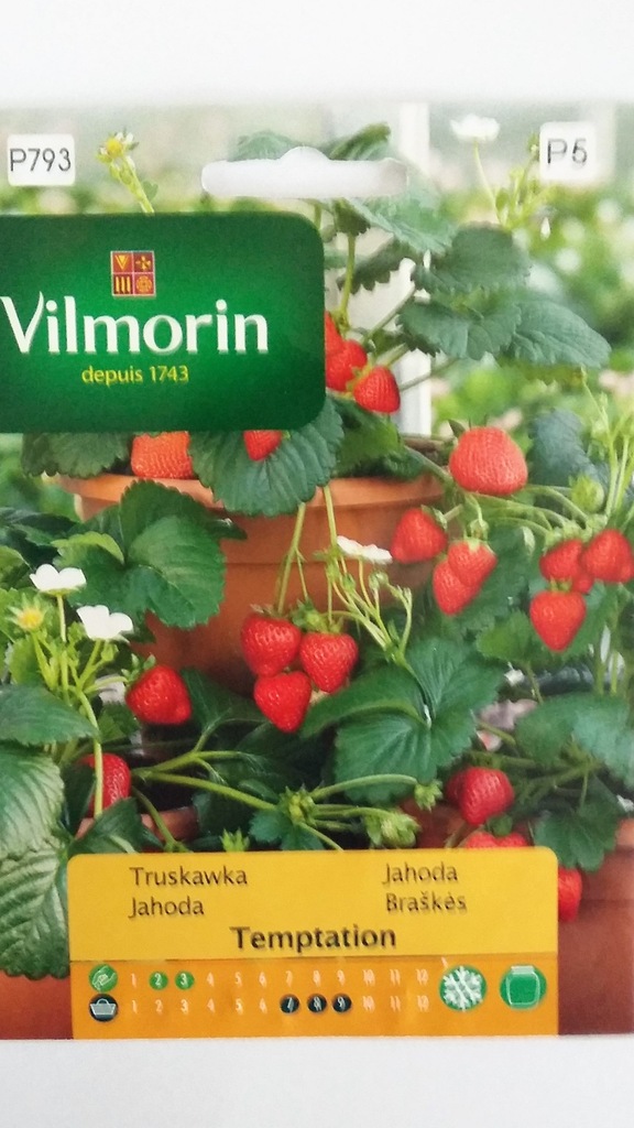 TRUSKAWKA TEMPTATION 0,02g HIT!! VILMORIN