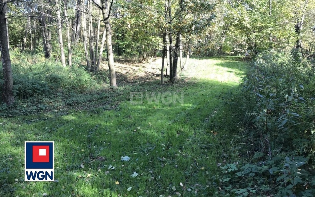 Działka, Golasowice, 14680 m²