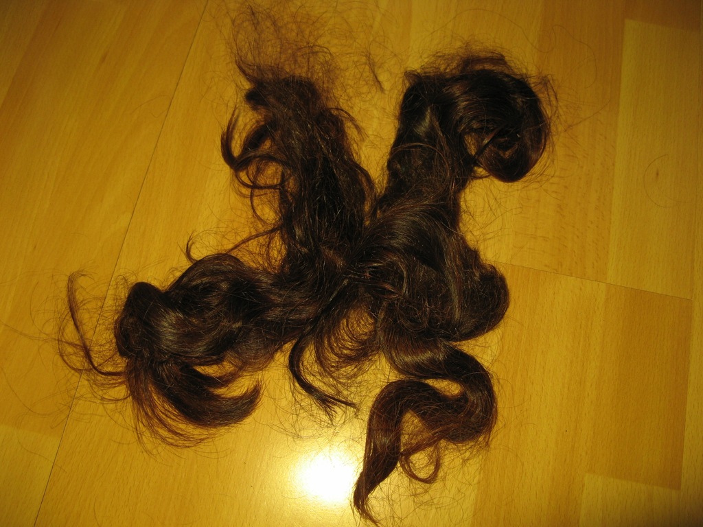 Włosy naturalne niefarbowane ciemny brąz 35 cm