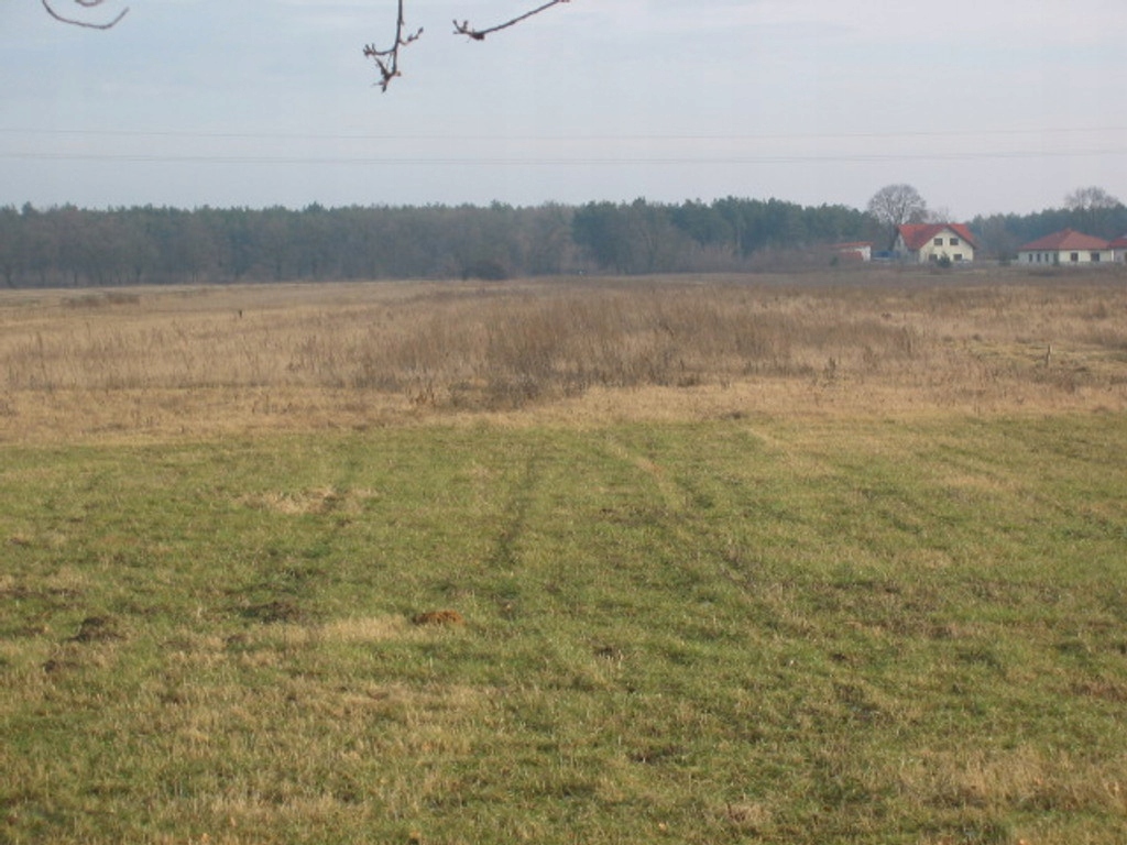 Działka, Jabłonna, Jabłonna (gm.), 1200 m²