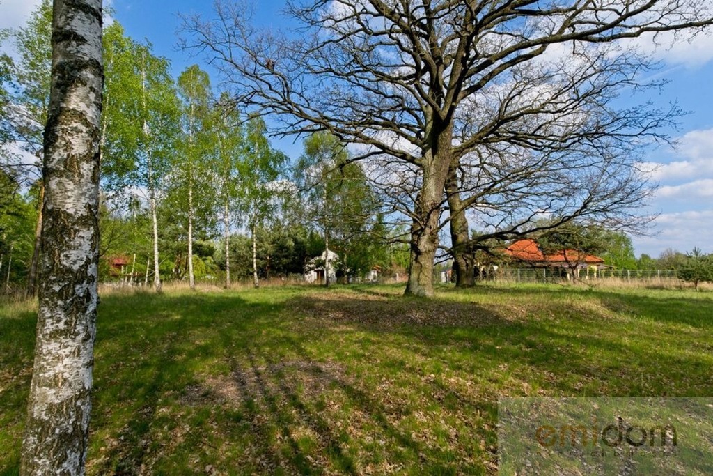 Działka, Pniewo, Zatory (gm.), 9800 m²