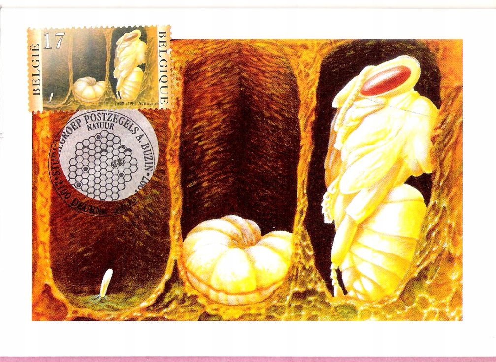 Belgia 1997 MC FDC st.Deurne, owady, pszczoły, miód