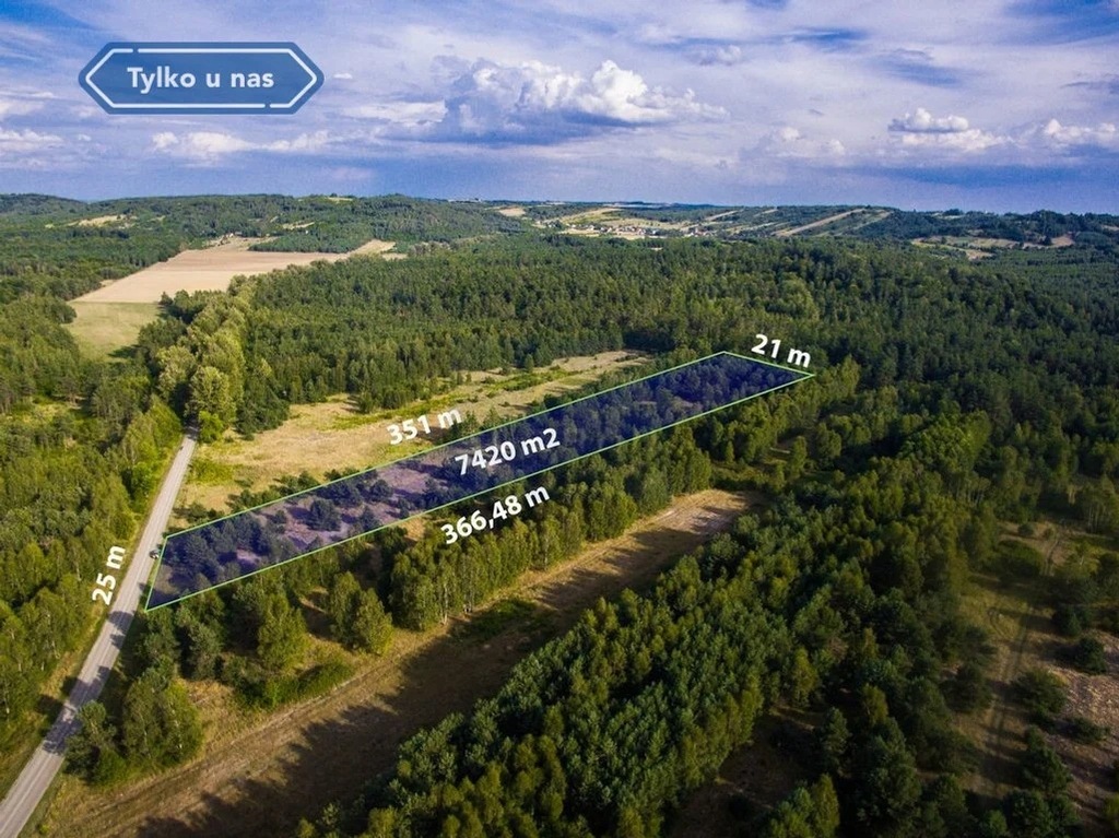 Działka, Złoty Potok, Janów (gm.), 7420 m²