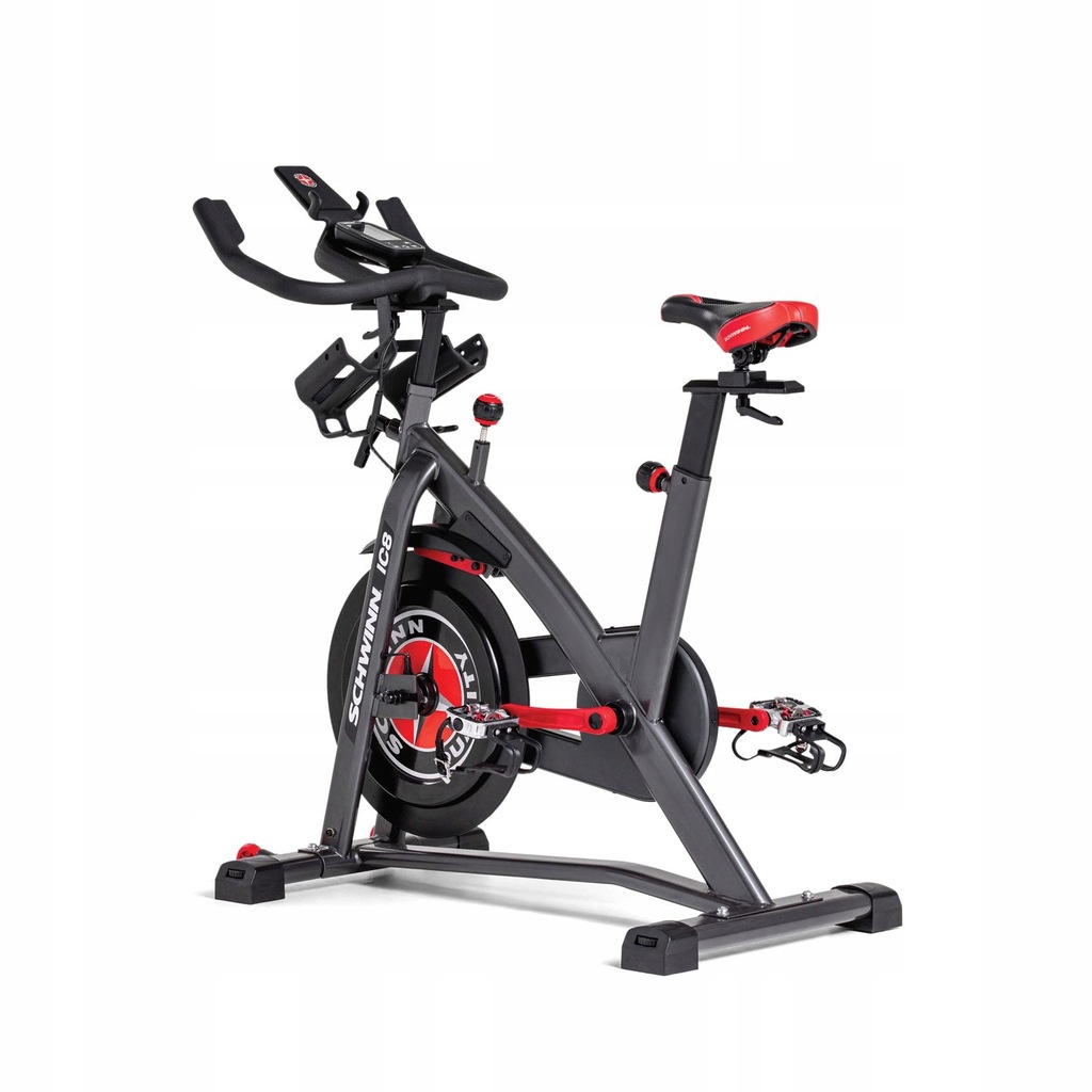 rower schwinn ic8