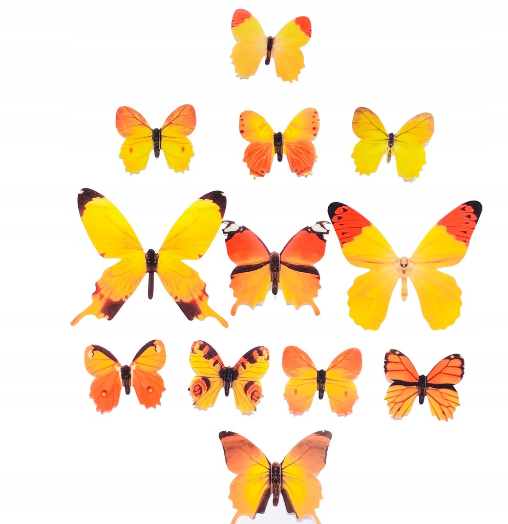 Naklejka na ścianę 3D Motyle Motylki Dekoracja