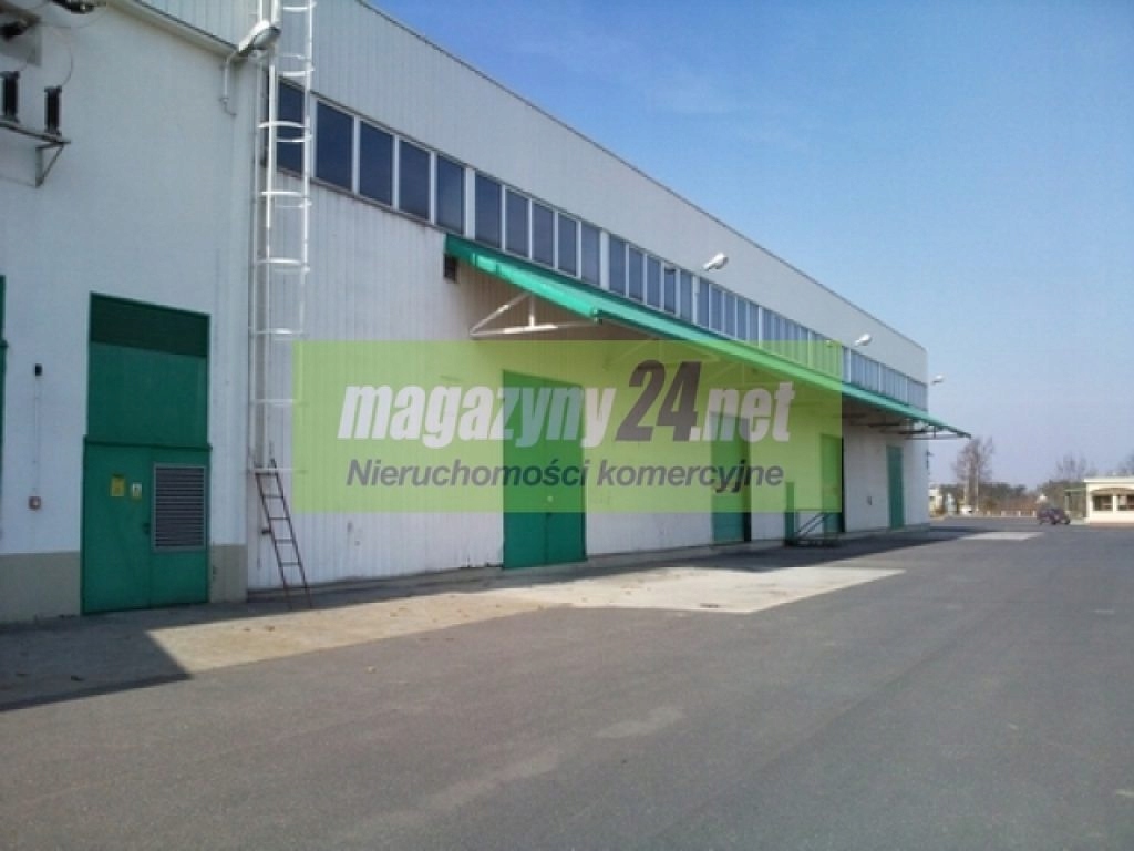 Magazyny i hale, Urzut, Nadarzyn (gm.), 5150 m²