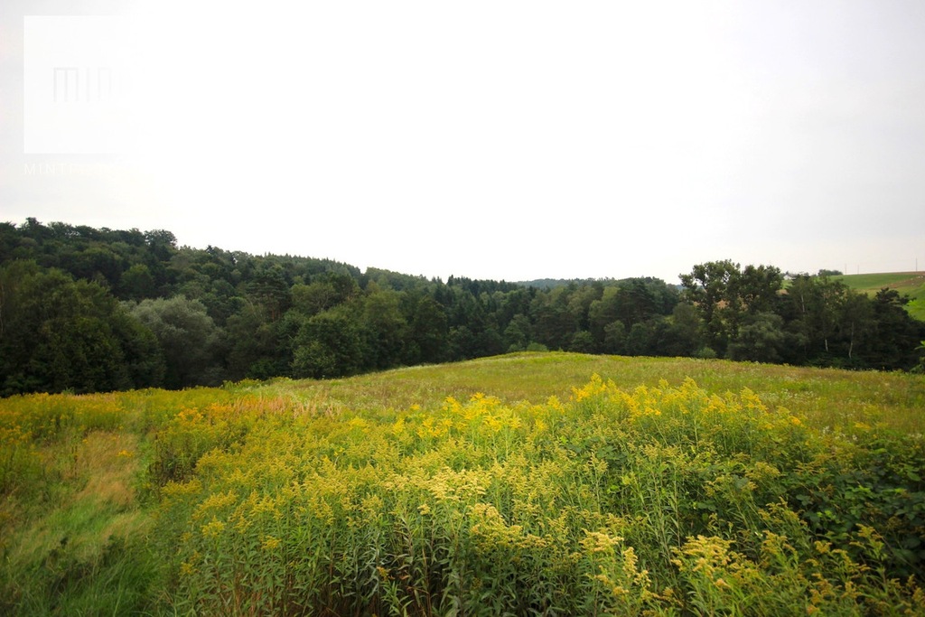 Działka, Siedliska-Bogusz, 12396 m²