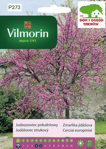 Judaszowiec południowy nasiona VILMORIN