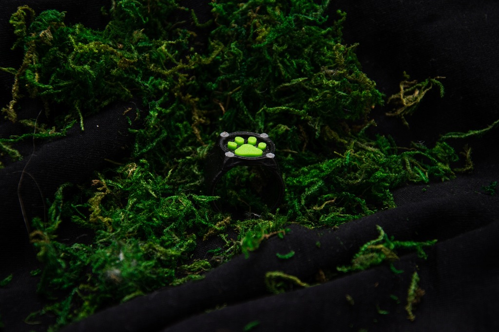 Miraculous – pierścień z łapką Kot