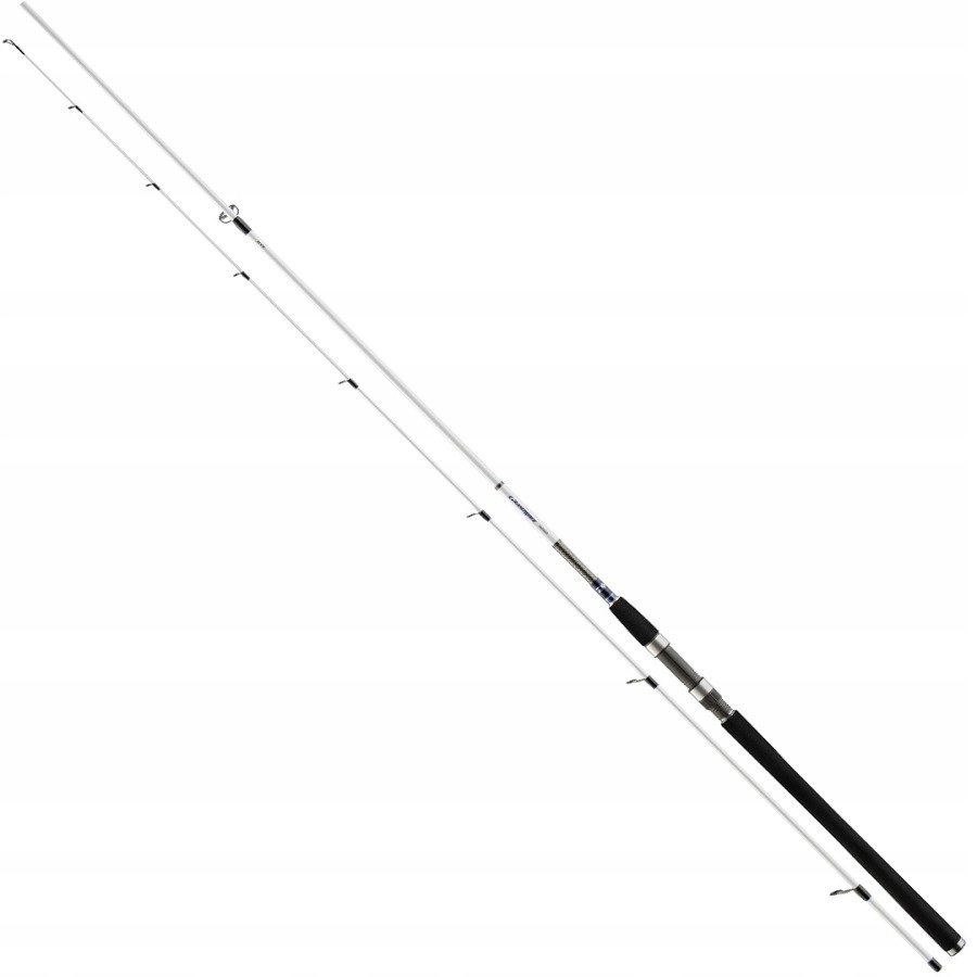 Wędka Daiwa Grandwave Sea Trout 305cm / 10-40g