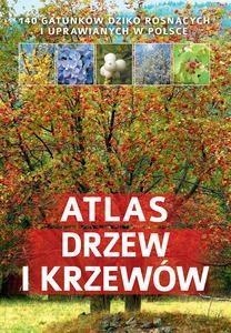 ATLAS DRZEW I KRZEWÓW SBM, ALEKSANDRA HALAREWICZ