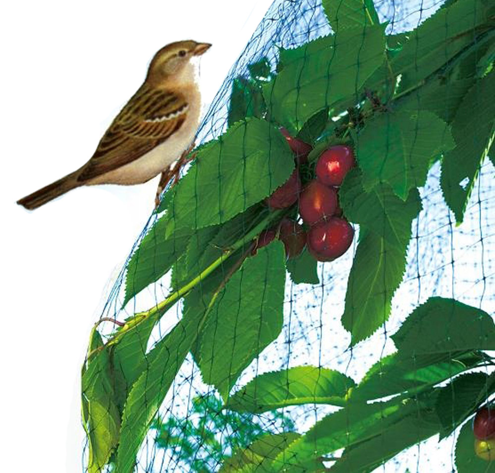 SIATKA PRZECIW PTAKOM OCHRONNA NA PTAKI KOTA 4x10m