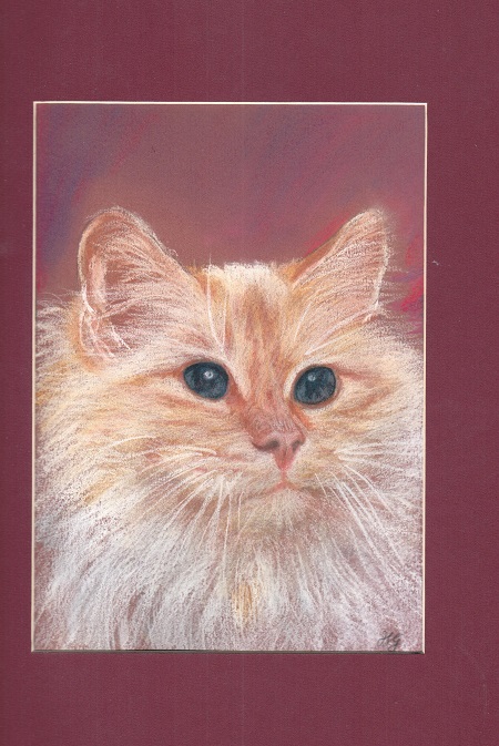 Pastel Kot Pers Rudy 24x30 Obraz Od Autora 7348304853