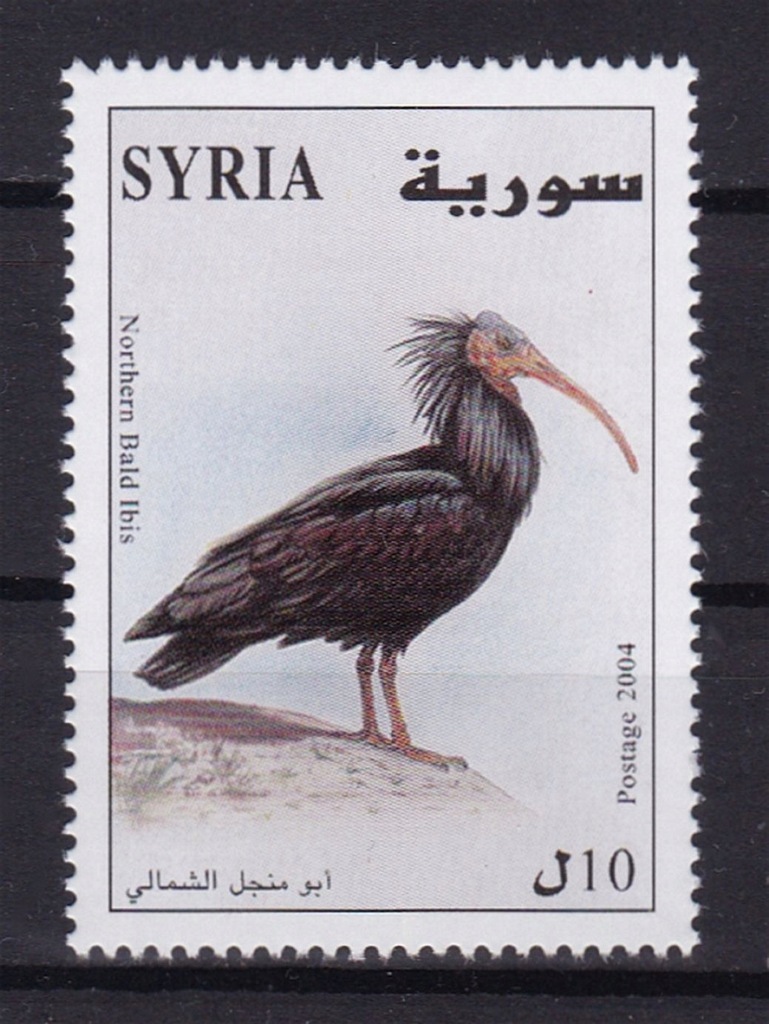 SYRIA - PTAKI - 2004 r. - MNH(**)