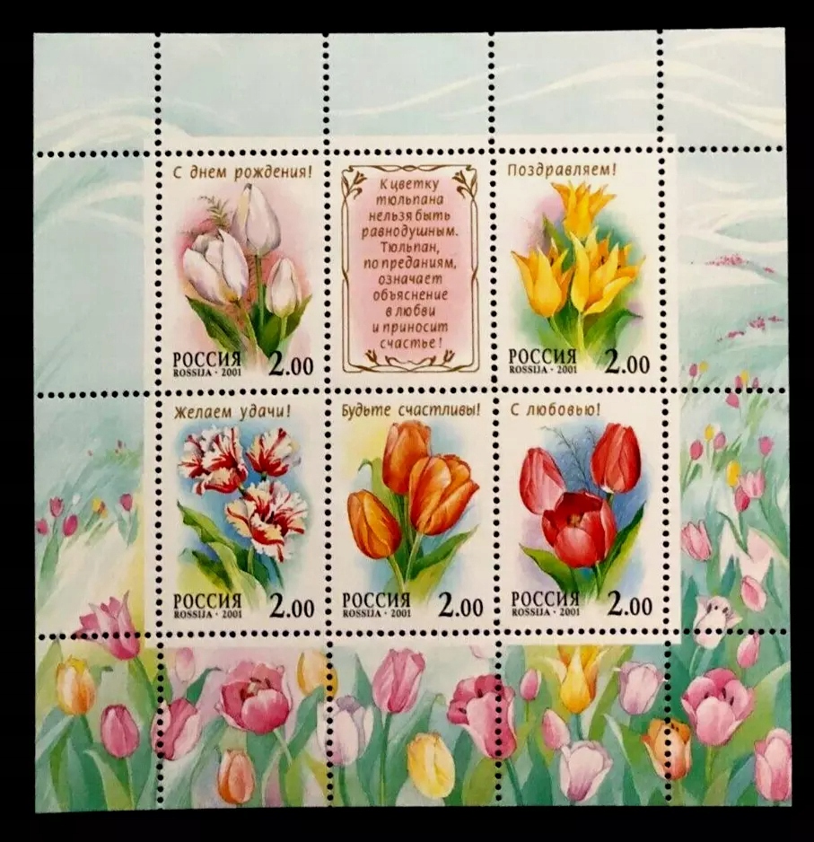 Rosja ** - tulipany