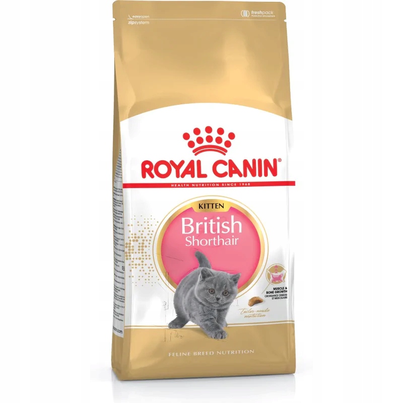 Karma Royal Canin KITTEN BRITISH (10 kg )