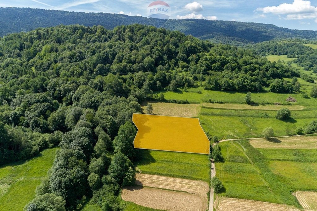 Działka, Tenczyn, Lubień (gm.), 3280 m²