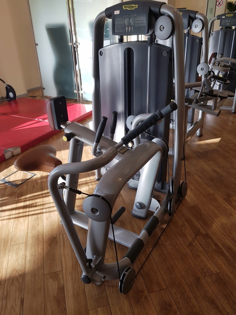 Maszyna na plecy Technogym Selection