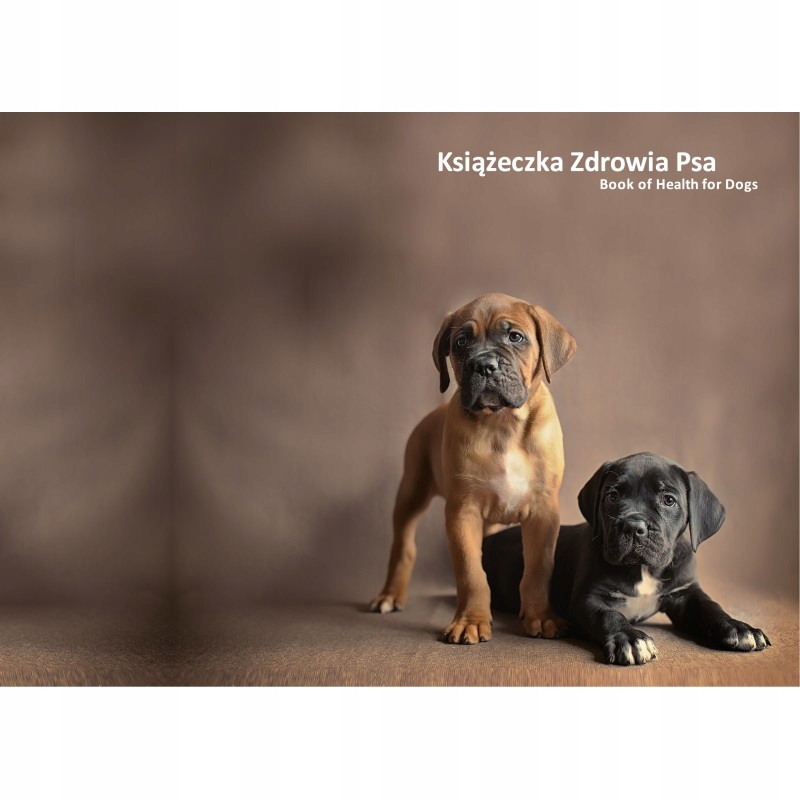 Książeczka zdrowia psa Cane Corso Mastiff