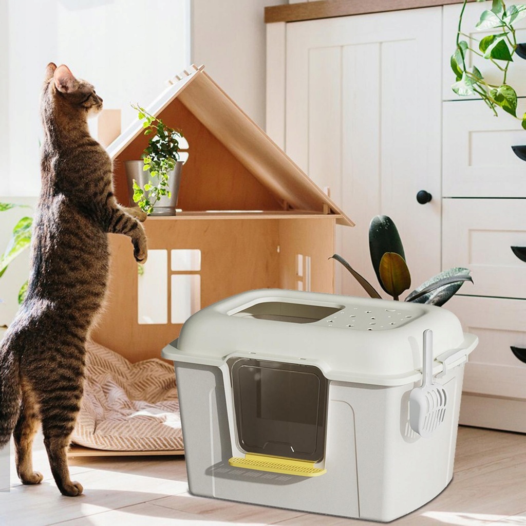 Pawsayes Best Small Litter Box No Smell Pawsayes Cat Litter Tray