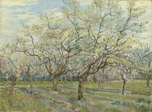 Vincent van Gogh - Biały sad - 120x90 cm obraz