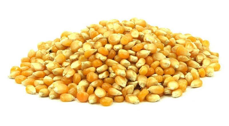 POPCORN kukurydza ziarno kukurydzy WOREK 22,68kg
