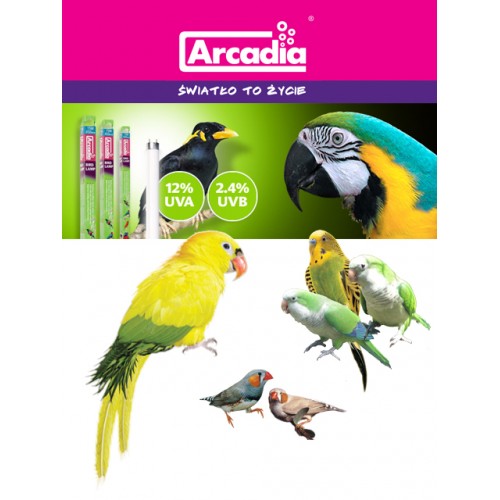 Arcadia Bird T-8 30W (900mm)