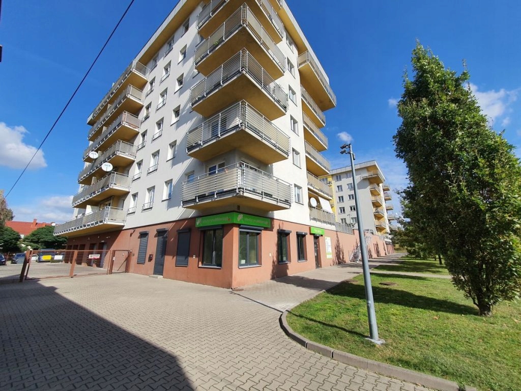 Komercyjne, Łódź, Widzew, 154 m²