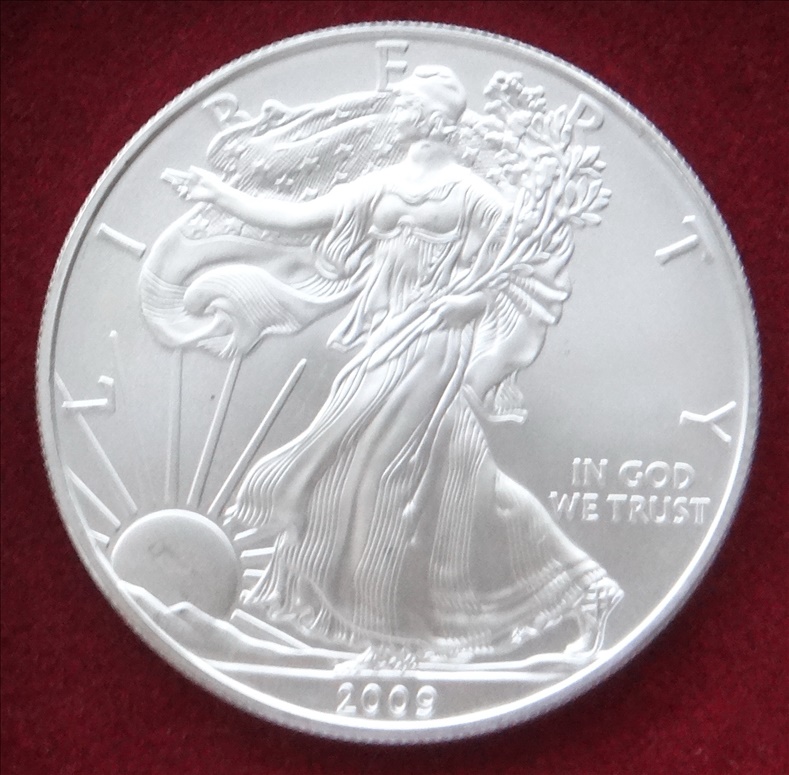 [29]1$ American Eagle 2009 r. Stan I/I-