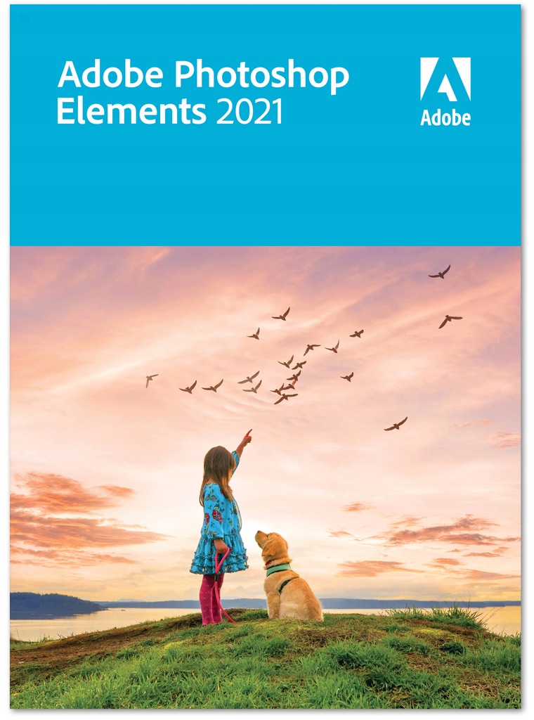 ADOBE PHOTOSHOP ELEMENTS 2021 PL BOX WIECZYSTY