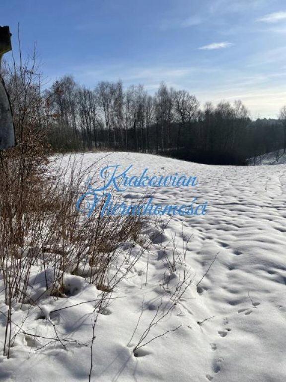 Działka, Poręba Żegoty, Alwernia (gm.), 9200 m²