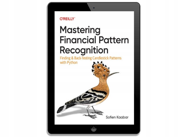 Mastering Financial Pattern Recognition