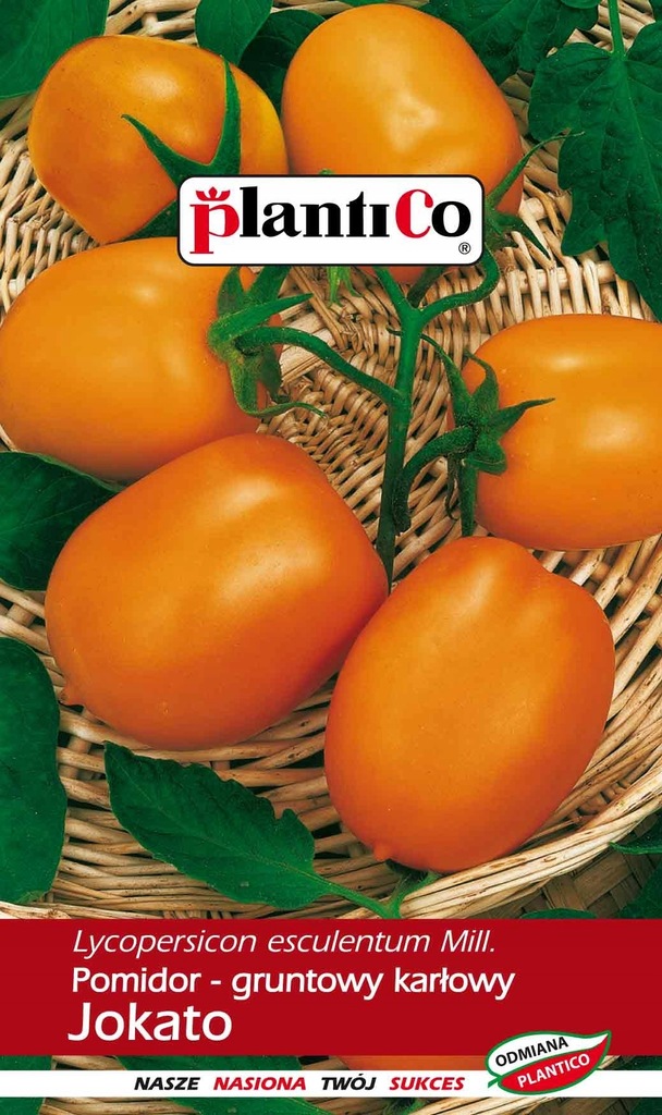 Pomidor gruntowy karłowy 'Jokato' 0,5g Plantico