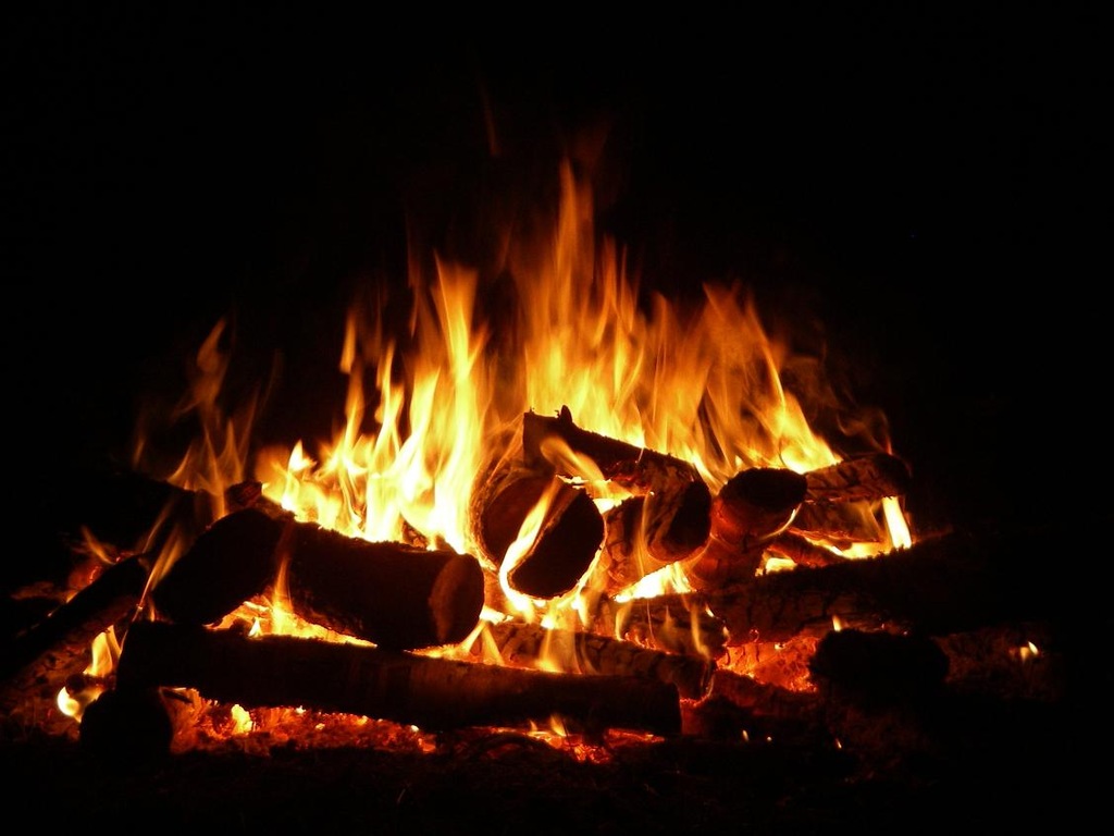 Купить Громкоговоритель со звуком горящих дров для биокамина: отзывы .